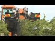 Grape Harvester 3 1231